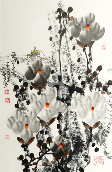 Fragrance of Magnolia 玉堂春 （No.F18BK24029)